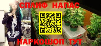 прущие грибы Мариинск