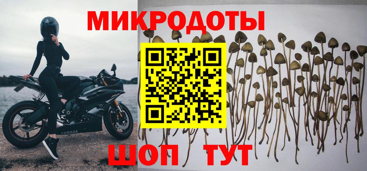 Галлюциногенные грибы MAGIC MUSHROOMS Великие Луки